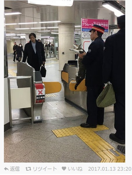 ウケた画像w：コメント5702