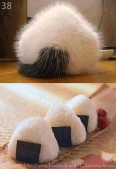 ウケた画像w：コメント5711