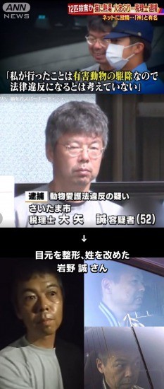 公園で散歩中のトイ・プードル･･･娘の手を噛んだと父親が連れ去り！飼い主は「捜して」と呼びかけ：コメント37