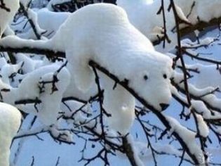 ウケた画像w：コメント5350