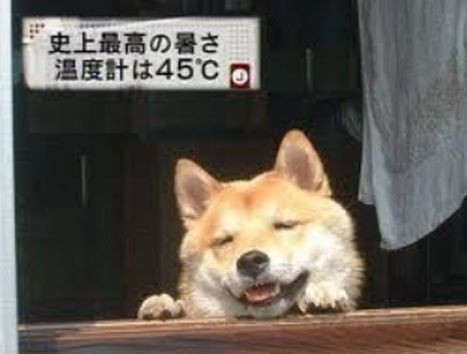 ウケた画像w：コメント5719