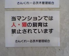 ウケた画像w：コメント5801