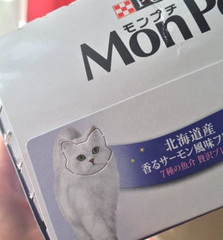 ウケた画像w：コメント5820