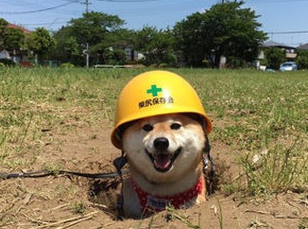 ウケた画像w：コメント5921