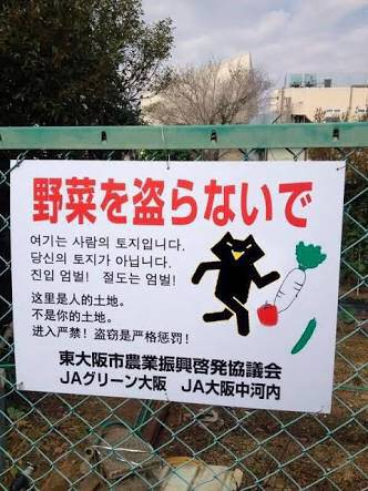 ウケた画像w：コメント5929