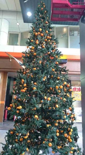 ウケた画像w：コメント5977