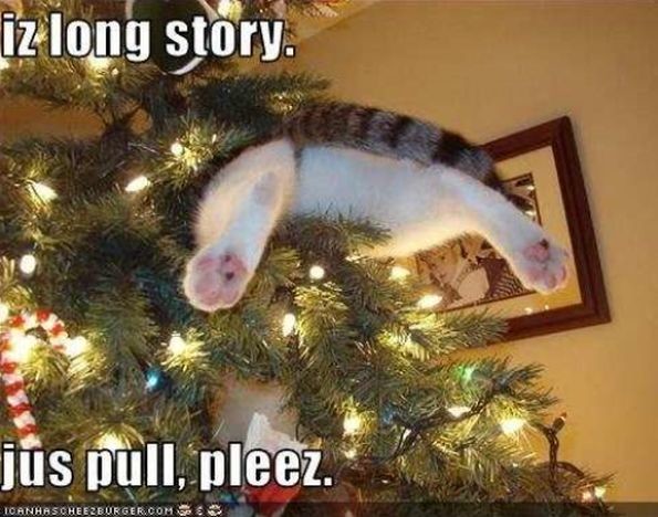 ウケた画像w：コメント5966