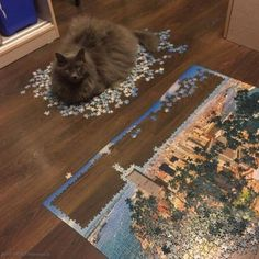 ウケた画像w：コメント5732