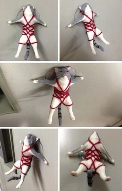 ウケた画像w：コメント5752