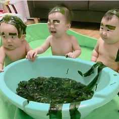 ウケた画像w：コメント5764