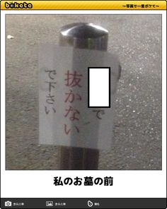 ウケた画像w：コメント5985