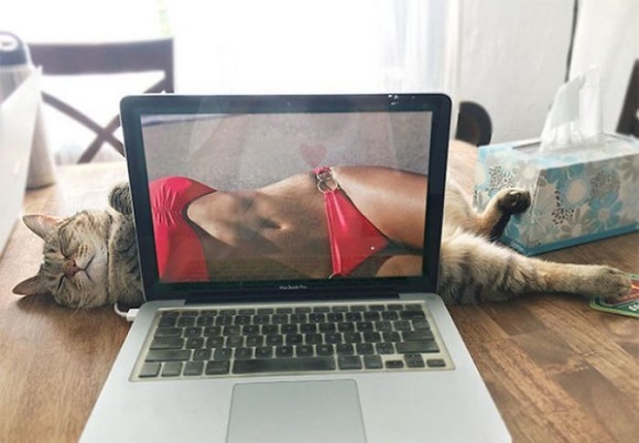 ウケた画像w：コメント6070