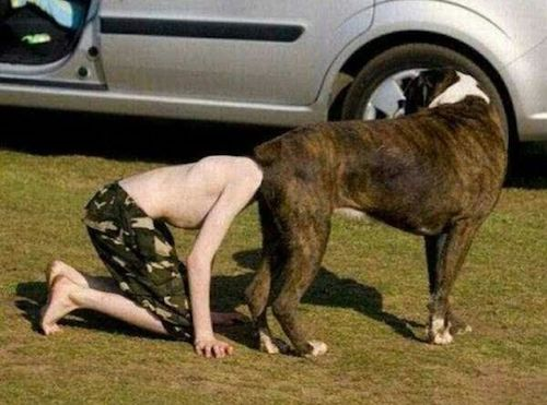 ウケた画像w：コメント6106