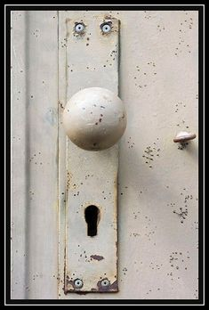 ウケた画像w：コメント6116