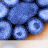 インフル流行、全国で注意報レベルに　ピーク早まる恐れ