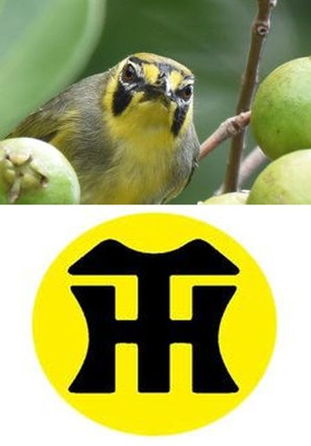 ウケた画像w：コメント6194