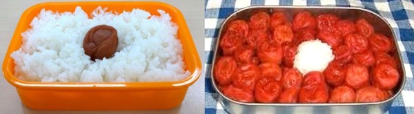 ウケた画像w：コメント6209