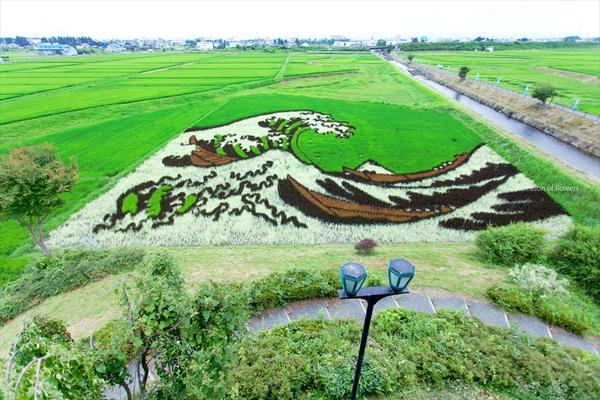 ウケた画像w：コメント5991