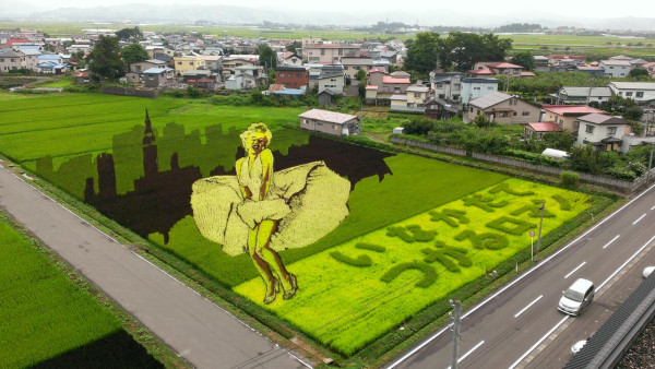 ウケた画像w：コメント5992