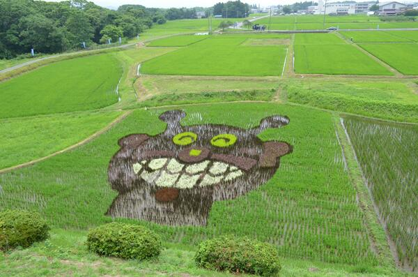 ウケた画像w：コメント5994