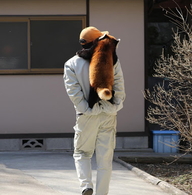 ウケた画像w：コメント6007