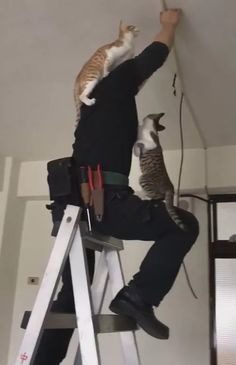 ウケた画像w：コメント2825