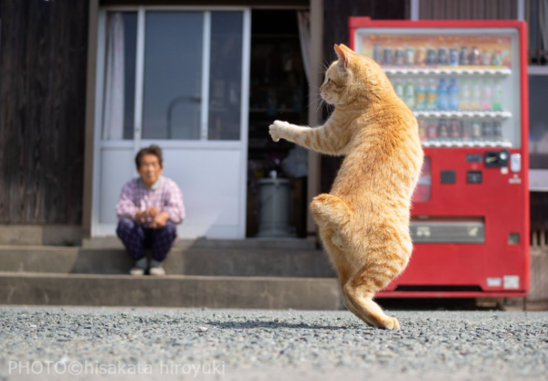 ウケた画像w：コメント3046