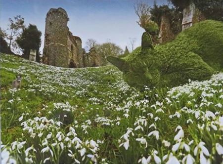 ウケた画像w：コメント3060