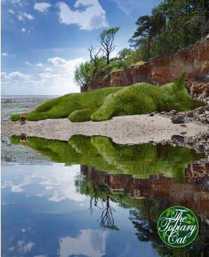 ウケた画像w：コメント3057