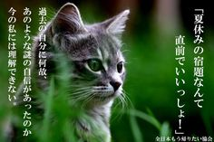 ウケた画像w：コメント3143