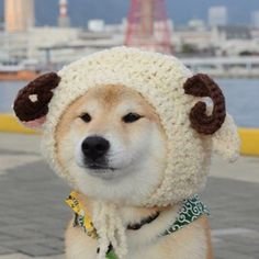 ウケた画像w：コメント3145