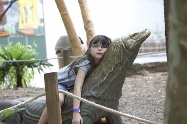 ウケた画像w：コメント3003