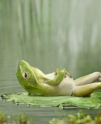 ウケた画像w：コメント3233