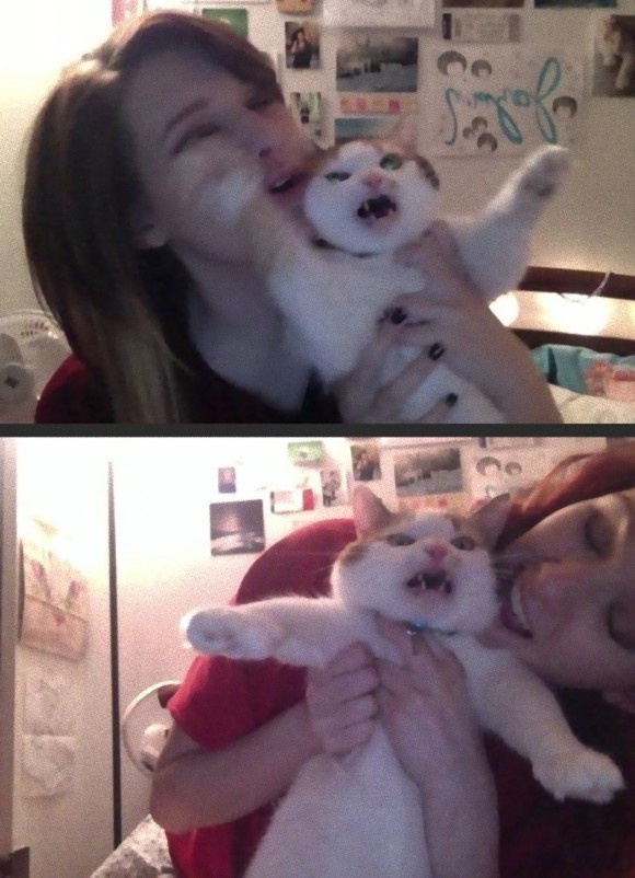 ウケた画像w：コメント3331