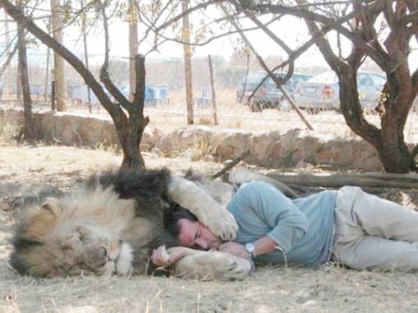 ウケた画像w：コメント3338