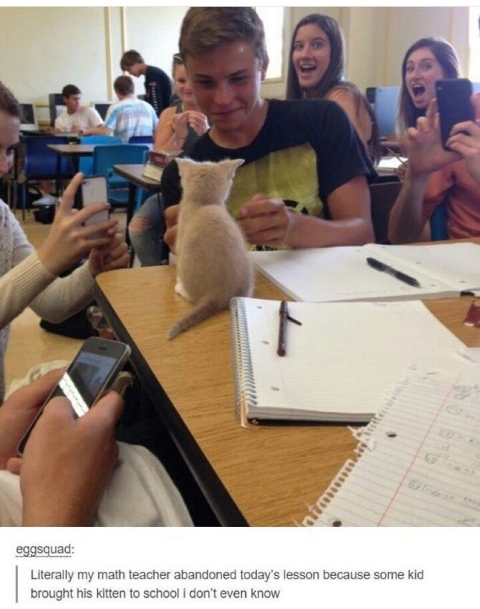 ウケた画像w：コメント3351