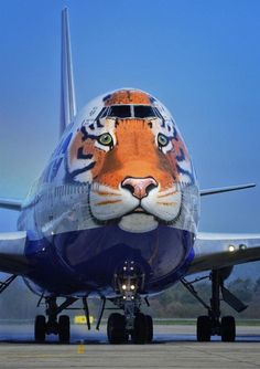 ウケた画像w：コメント3247