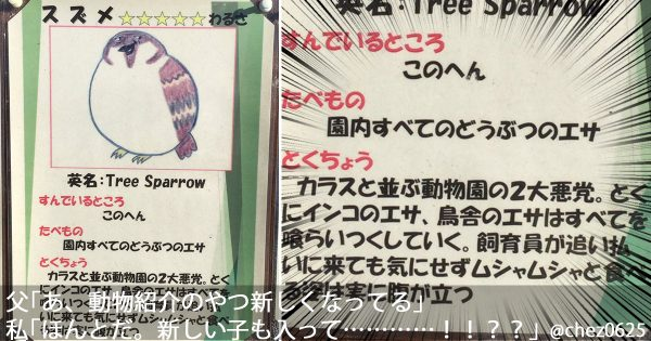 ウケた画像w：コメント3253