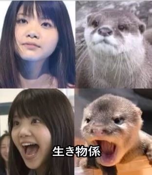 ウケた画像w：コメント3389