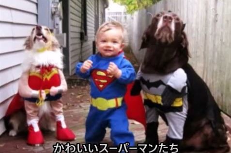 ウケた画像w：コメント3381