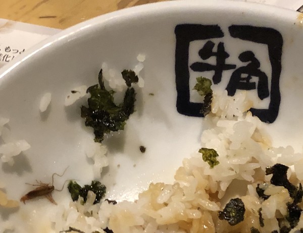 牛角のライスからゴキブリのような虫 ツイッター告発に運営が謝罪：コメント105