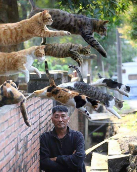 ウケた画像w：コメント3269