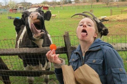 ウケた画像w：コメント3315