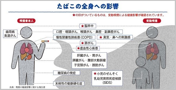 「ルール守っているのに、なぜ...」　過熱する「タバコ叩き」、喫煙者の本音は：コメント734