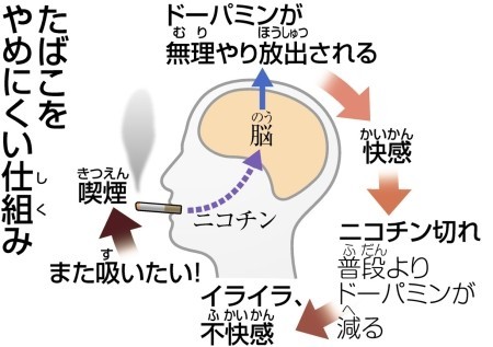 「ルール守っているのに、なぜ...」　過熱する「タバコ叩き」、喫煙者の本音は：コメント736