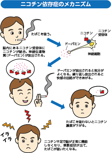 「ルール守っているのに、なぜ...」　過熱する「タバコ叩き」、喫煙者の本音は：コメント1087