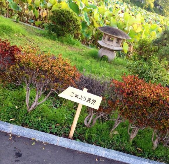 ウケた画像w：コメント3785