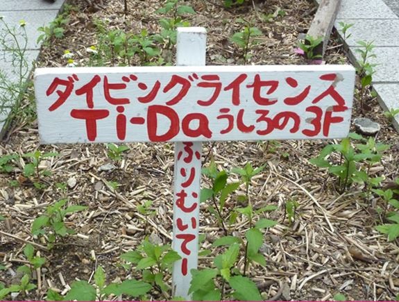 ウケた画像w：コメント3819