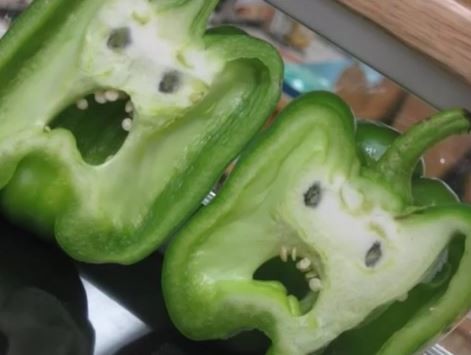 ウケた画像w：コメント3526