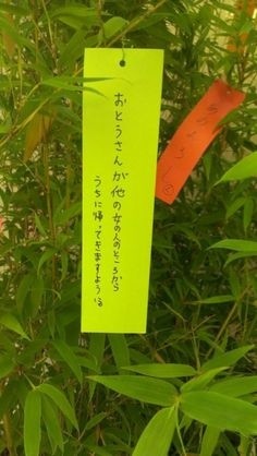 ウケた画像w：コメント3836